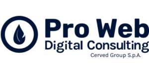 Pro Web Digital Consulting